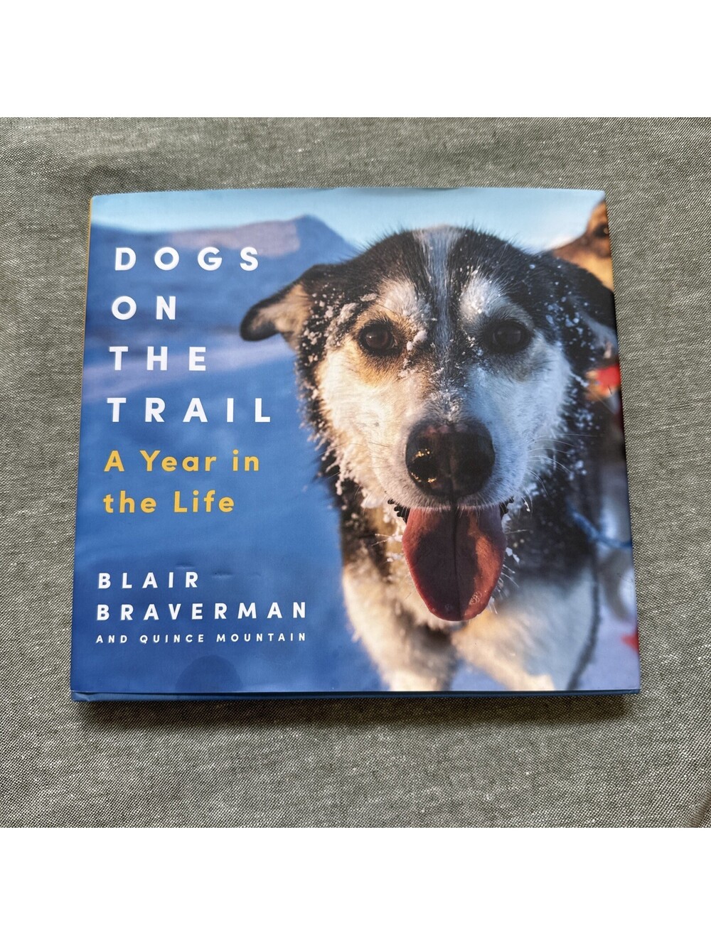 Dogs on the Trail : A Year in the Life by Blair Braverman and Quince Mountain HC